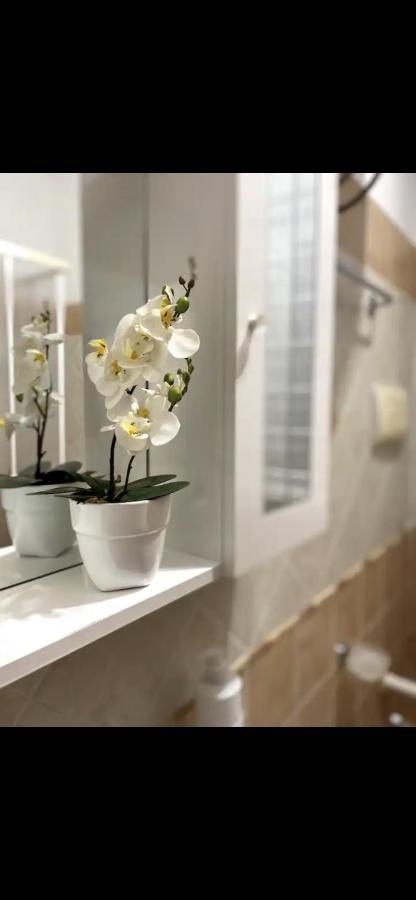 Cusumano House Apartman Trappeto  Kültér fotó